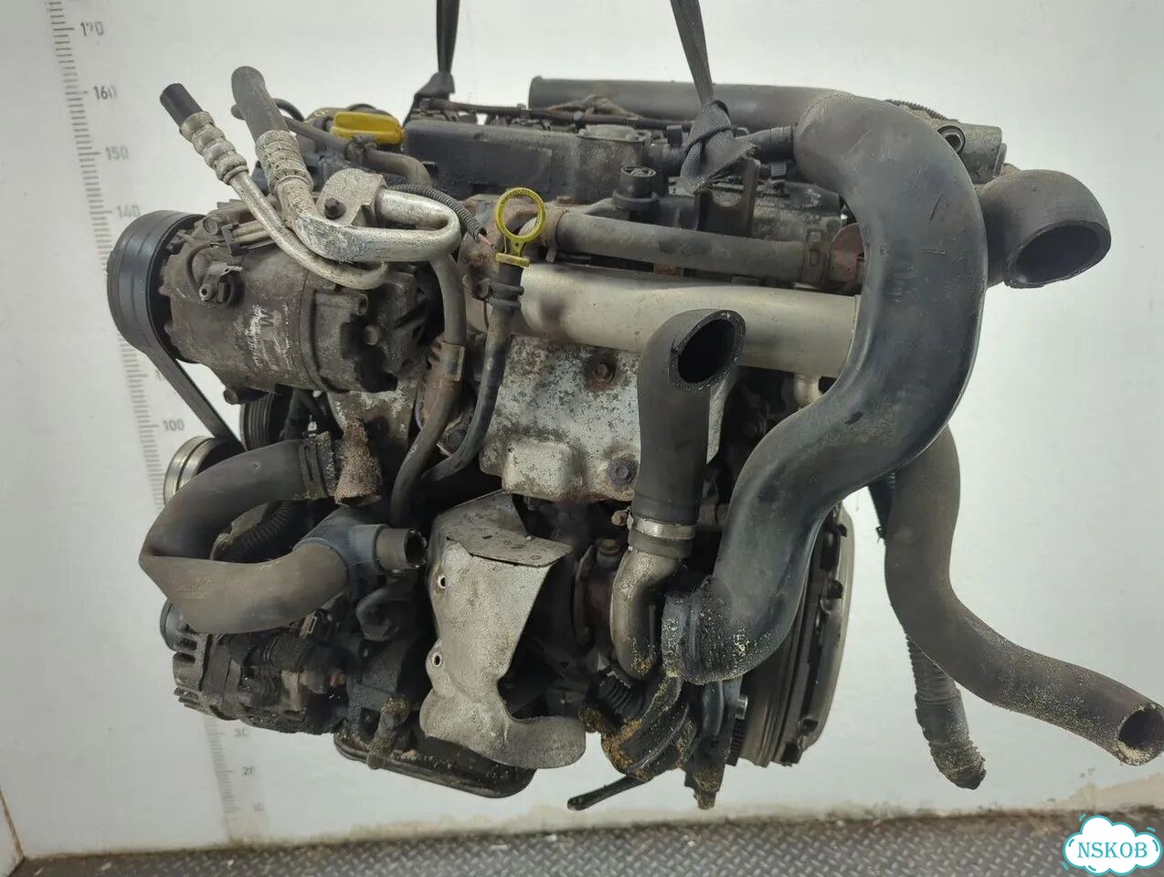 Двигатель Opel Astra H Z17DTH фото 5