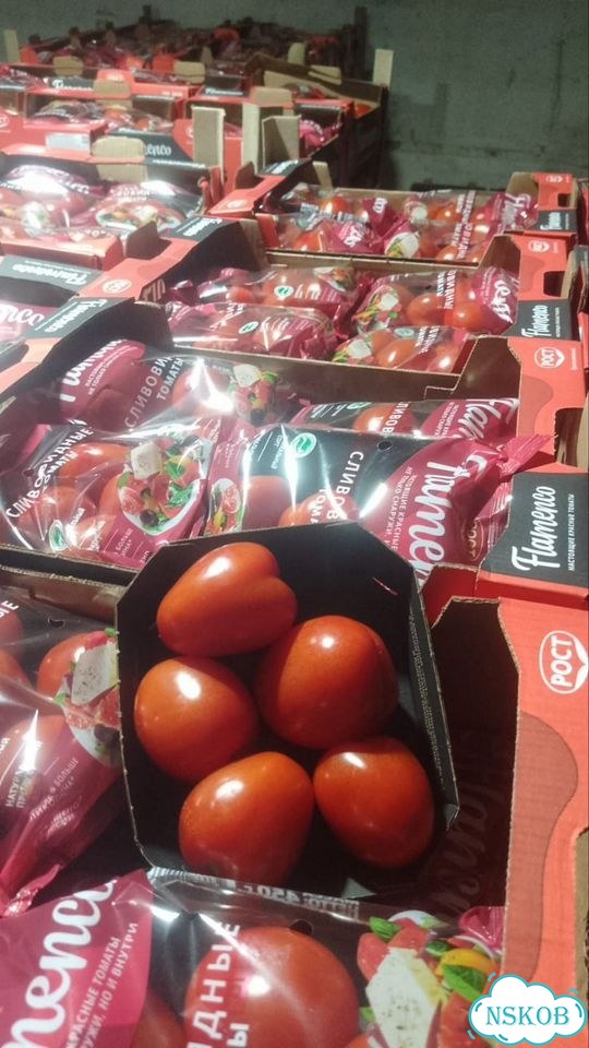 Томаты на засолку фото 2