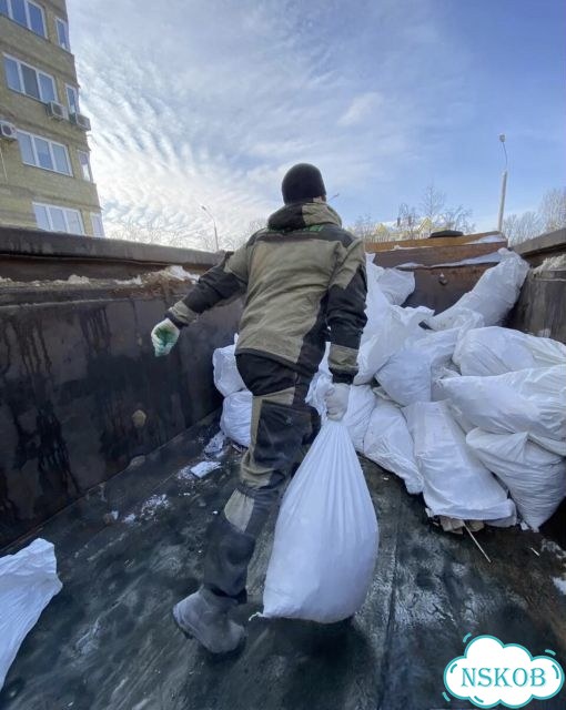 Вывоз мусора в городе фото 2