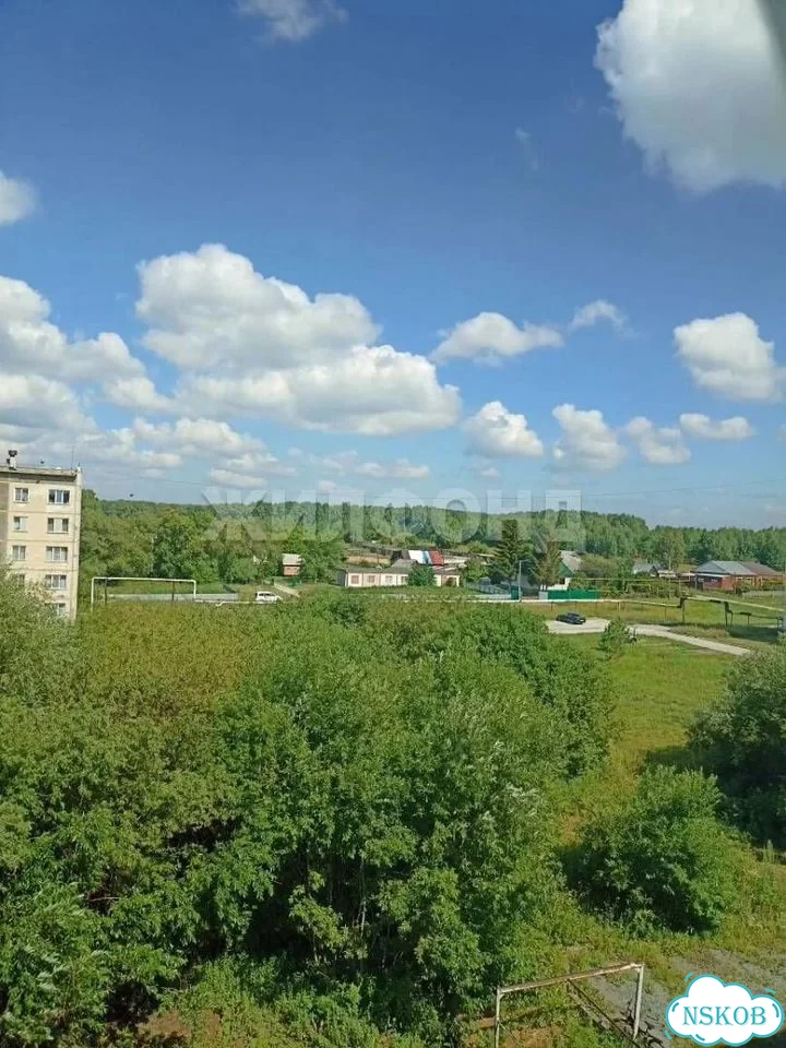 2-к. квартира, 53,4 м², 4/5 эт. фото 14
