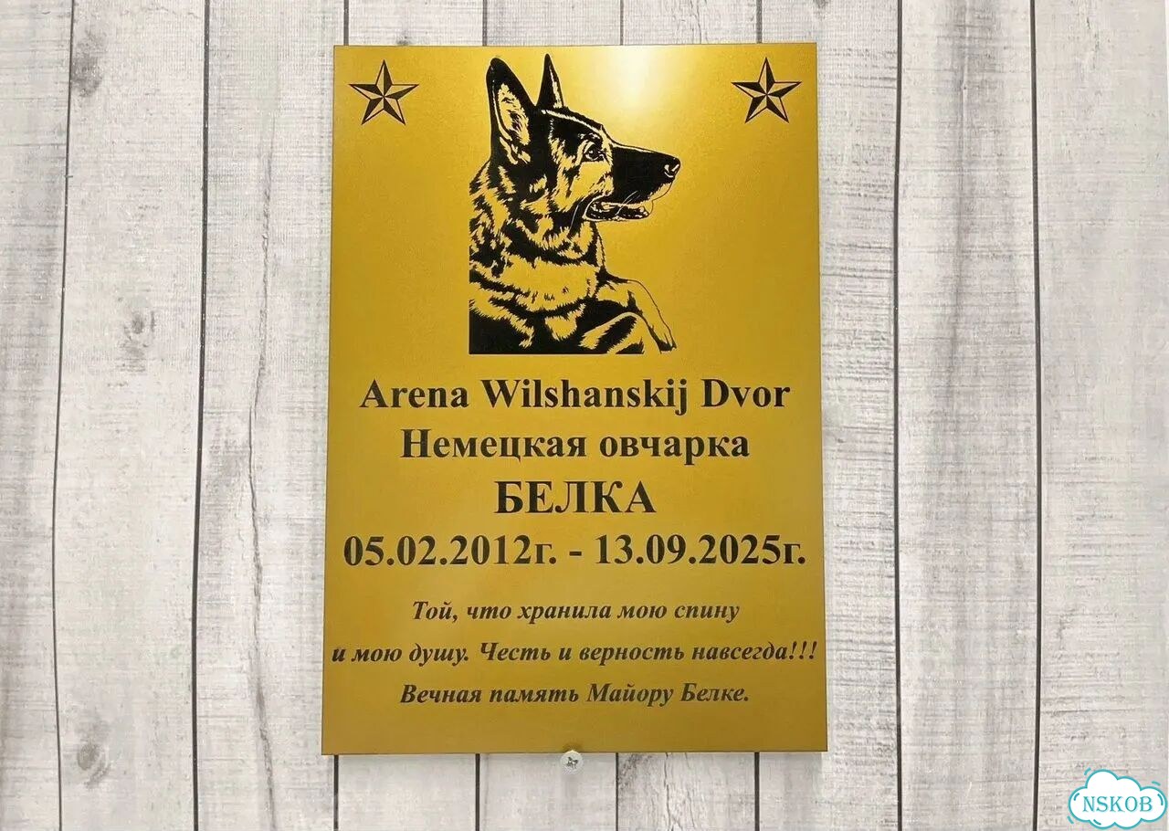 Табличка для дома и дачи алюминий фото 5