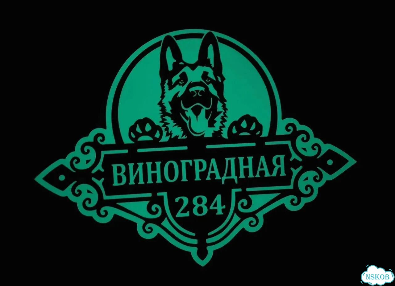 Адресник с вашим питомцем фото 4