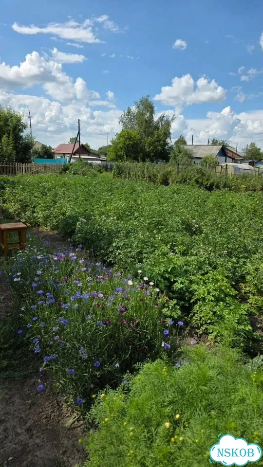 Дом 23 м² на участке 6 сот. фото 23