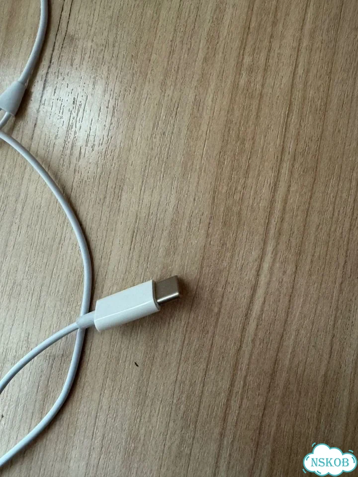 Наушники apple earpods type c фото 1
