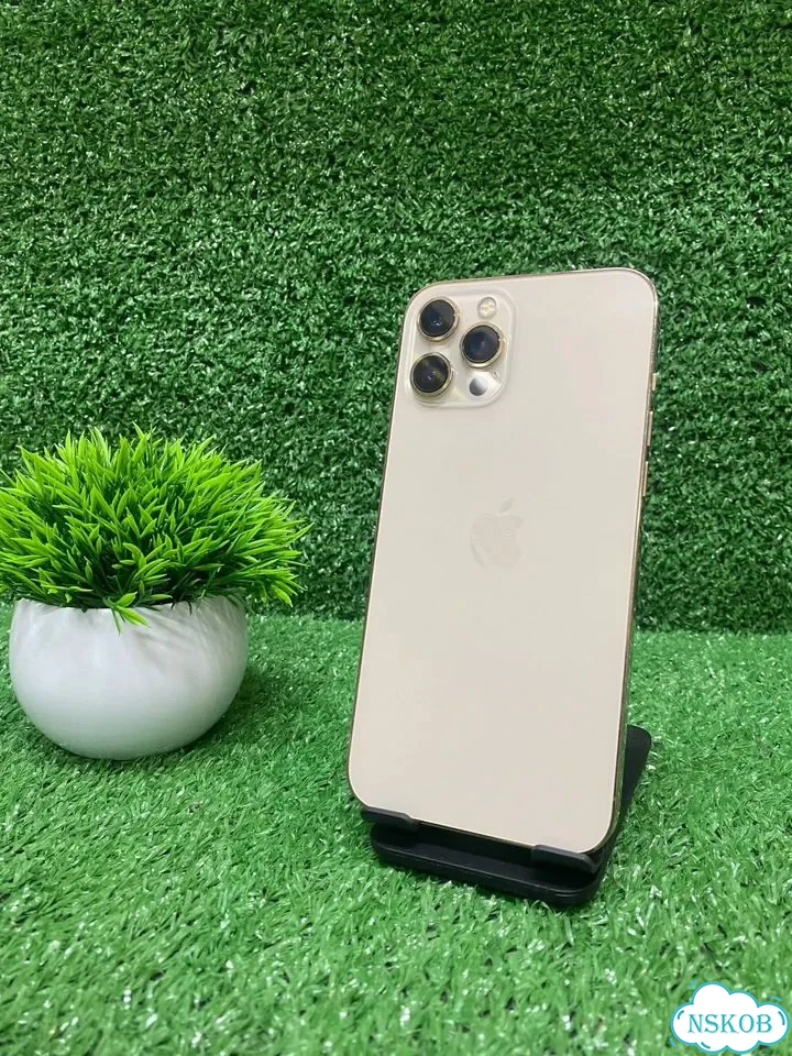 iPhone 12 Pro Max, 256 ГБ, SIM + eSIM фото 1
