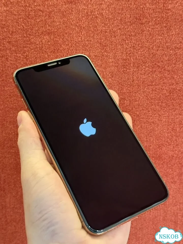 iPhone Xs Max, 256 ГБ, SIM + eSIM фото 2