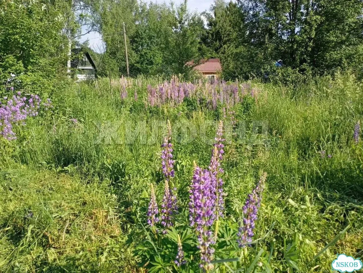 Дача 40 м² на участке 4 сот. фото 6