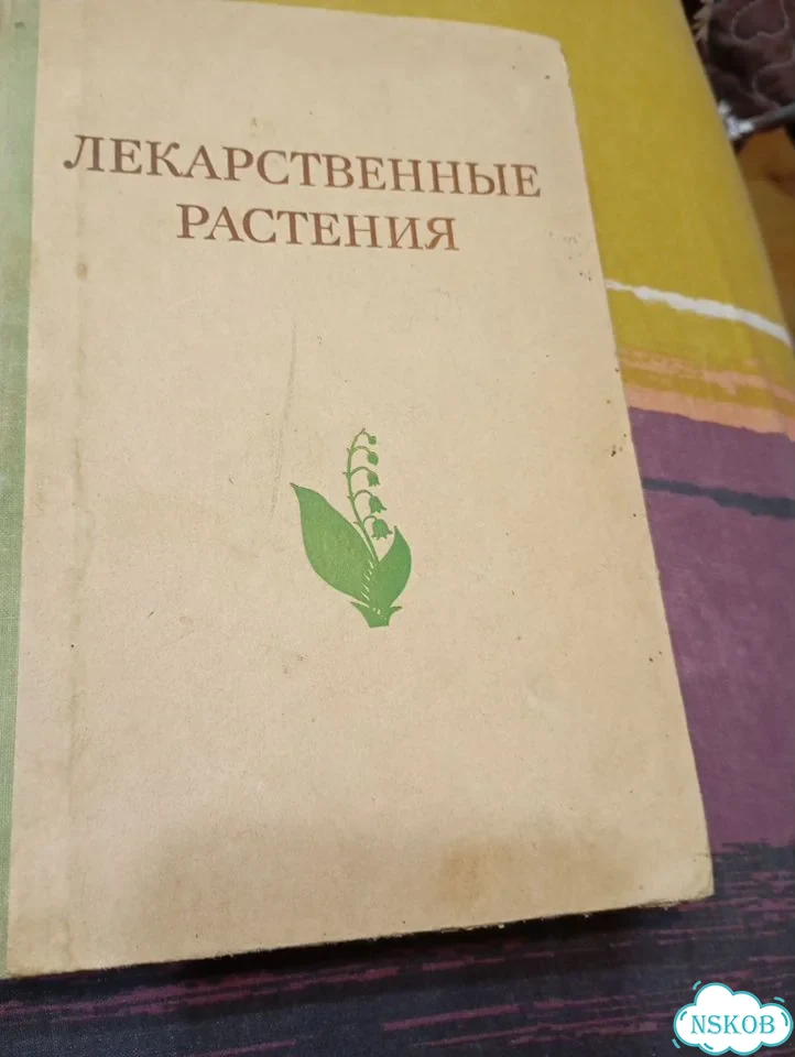 Лекарственные растения фото 1