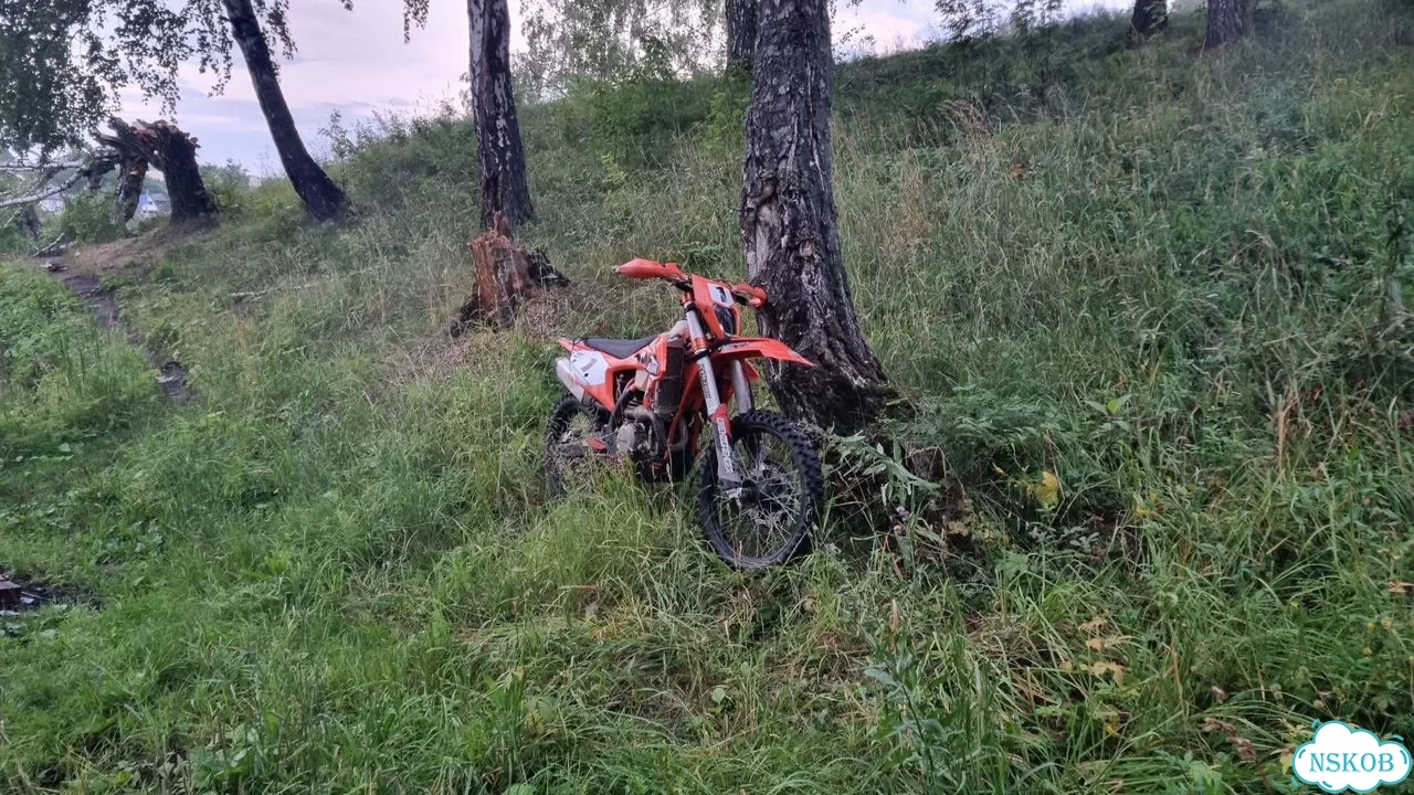 Progasi Race 300, 2023, 3 000 км фото 2