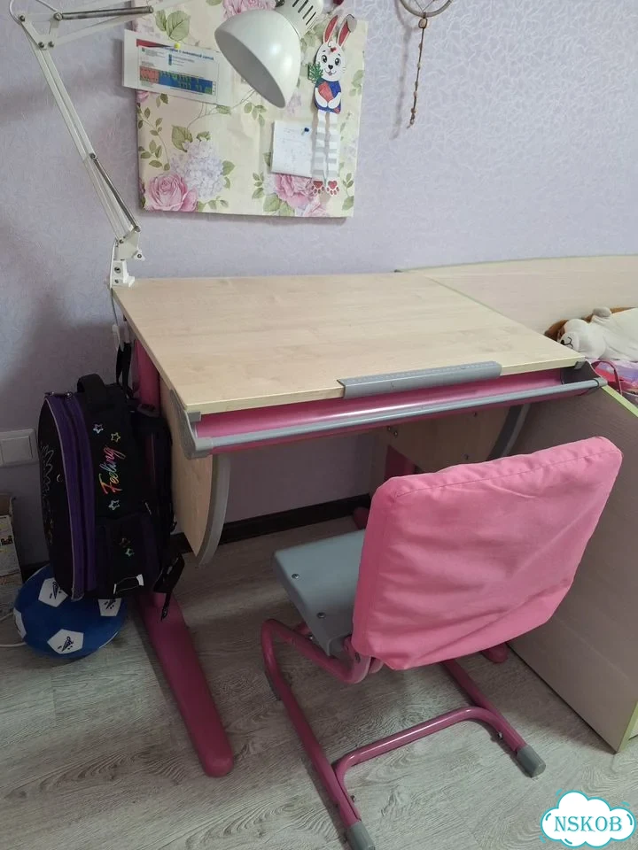 Растущая парта дэми, стул и полка фото 1