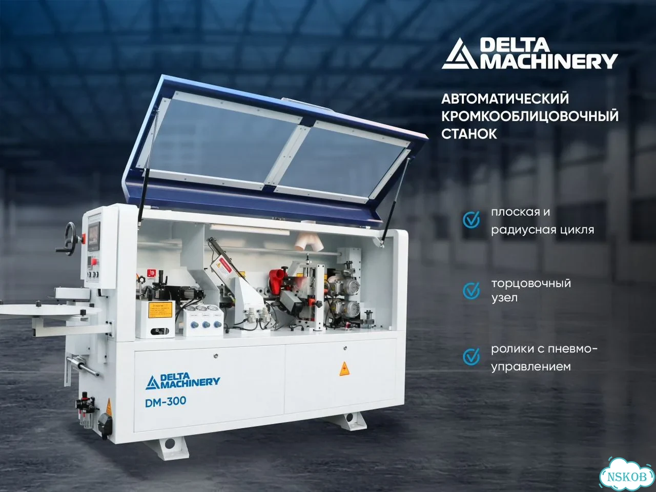 Автоматический кромкооблицовочный станок DM-300 фото 1