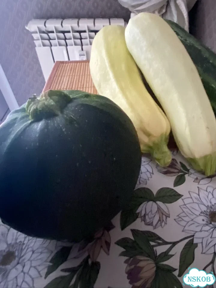 Кабачки свежие фото 1