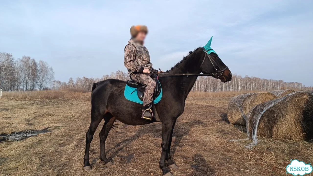 Кобыла с жеребенком фото 1