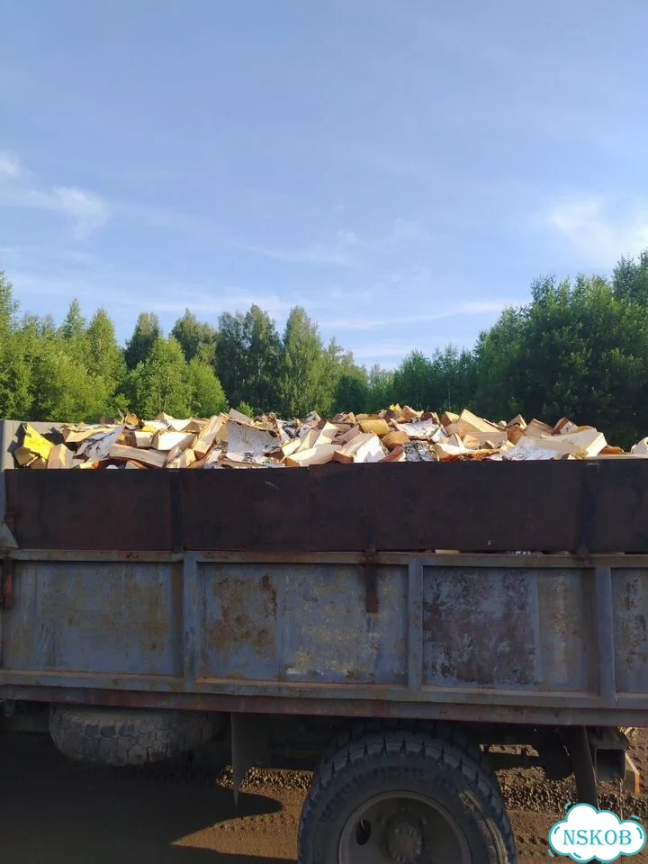 Дрова берёзовые колотые фото 1