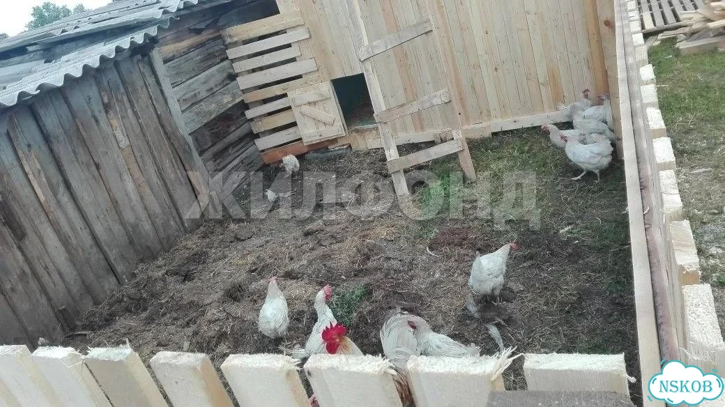 Дом 42,9 м² на участке 10,7 сот. фото 6