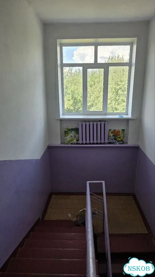 2-к. квартира, 52,7 м², 2/2 эт. фото 29