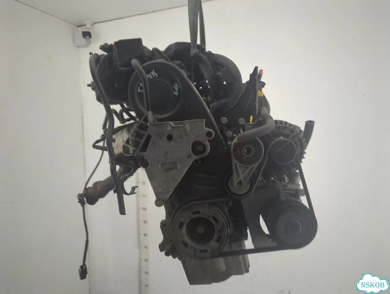 Двигатель Audi A3 (8P) BSE фото 1