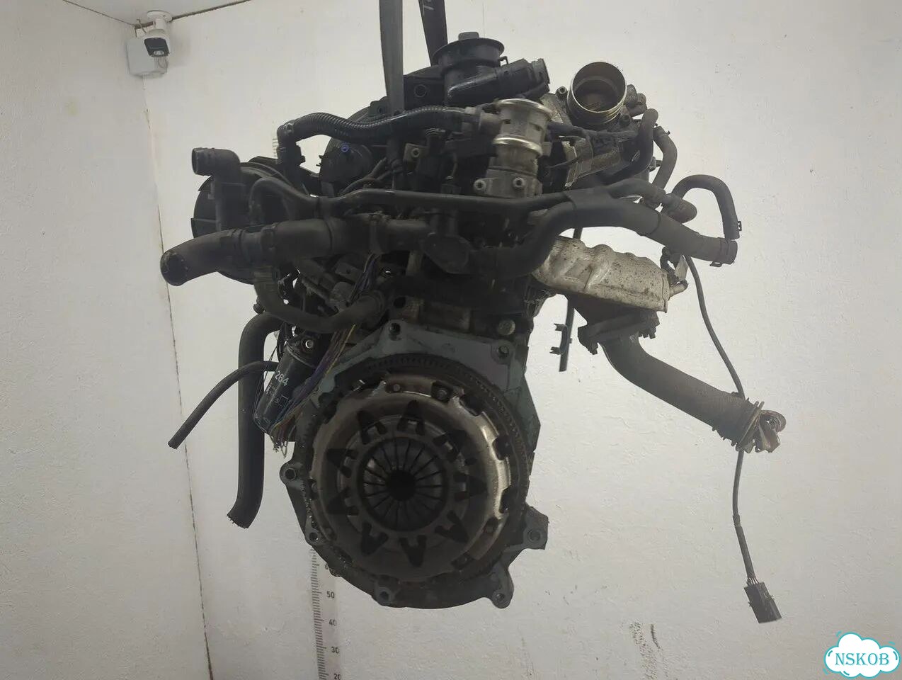 Двигатель Audi A3 (8P) BSE фото 4