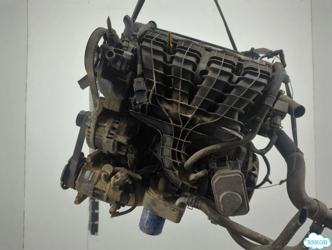 Двигатель Dodge Caliber EBA фото 4