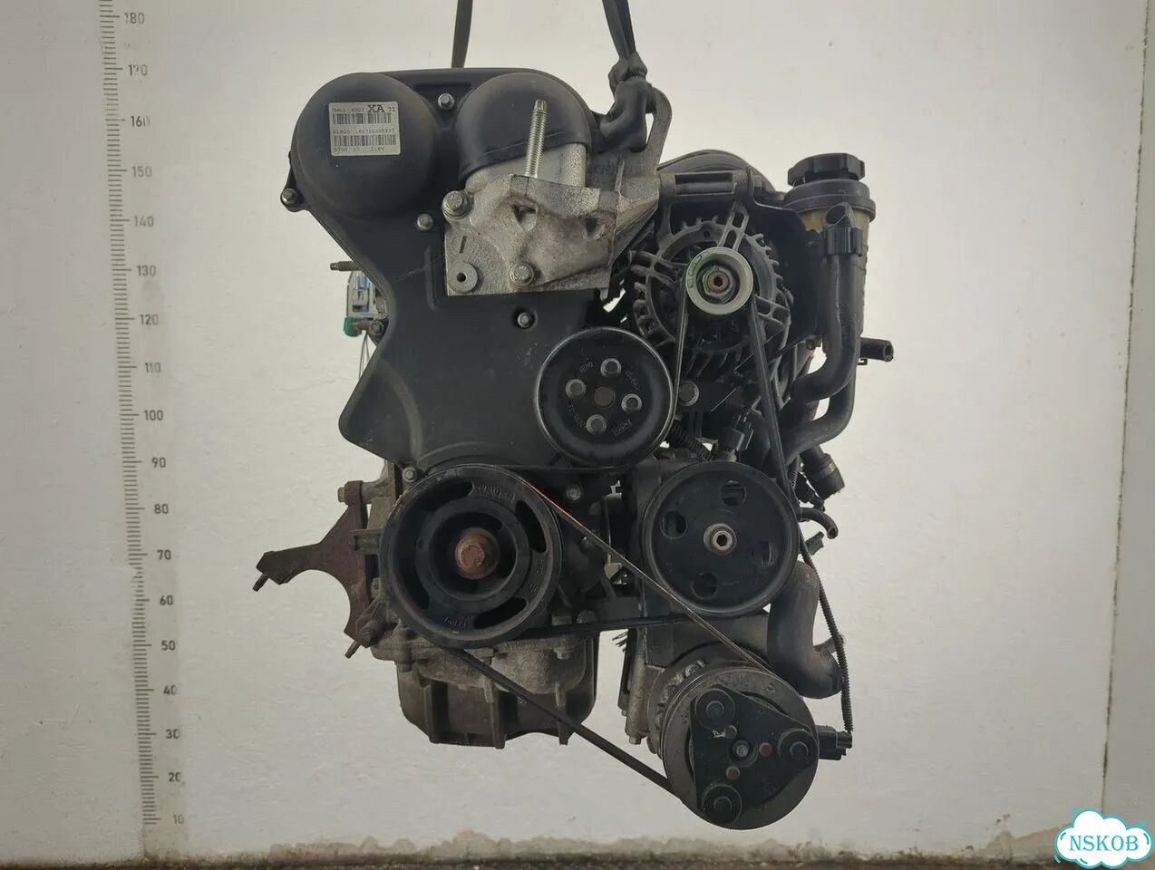 Двигатель Ford Focus 2 shda, shdc фото 1