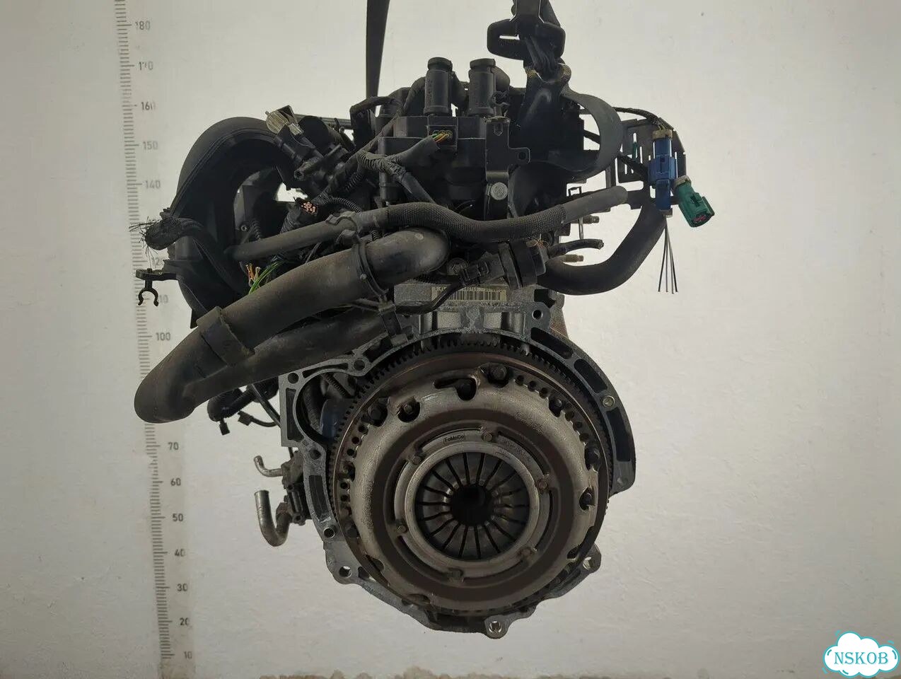 Двигатель Ford Focus 2 shda, shdc фото 3