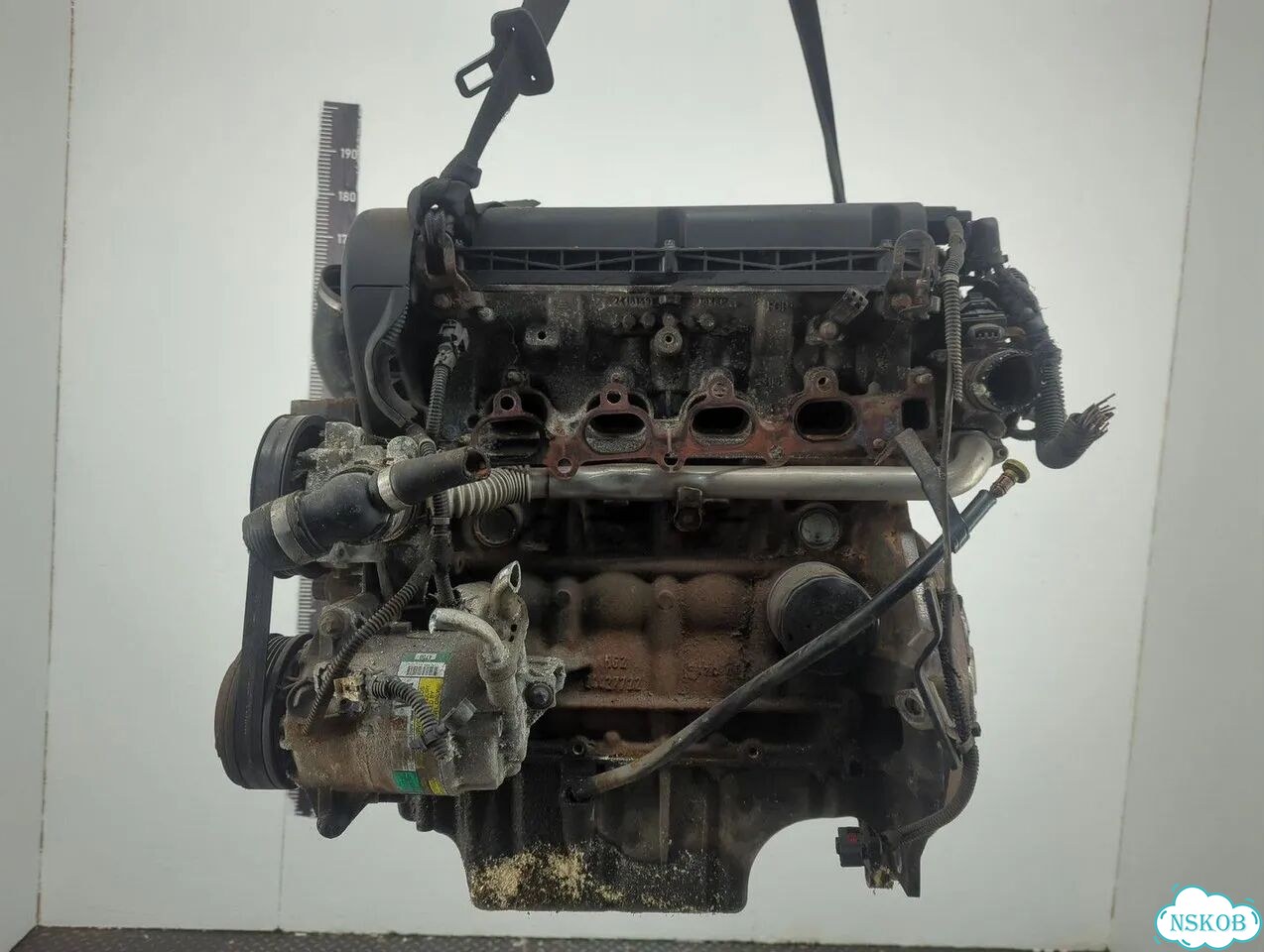 Двигатель Opel Zafira B Z16XEP фото 3