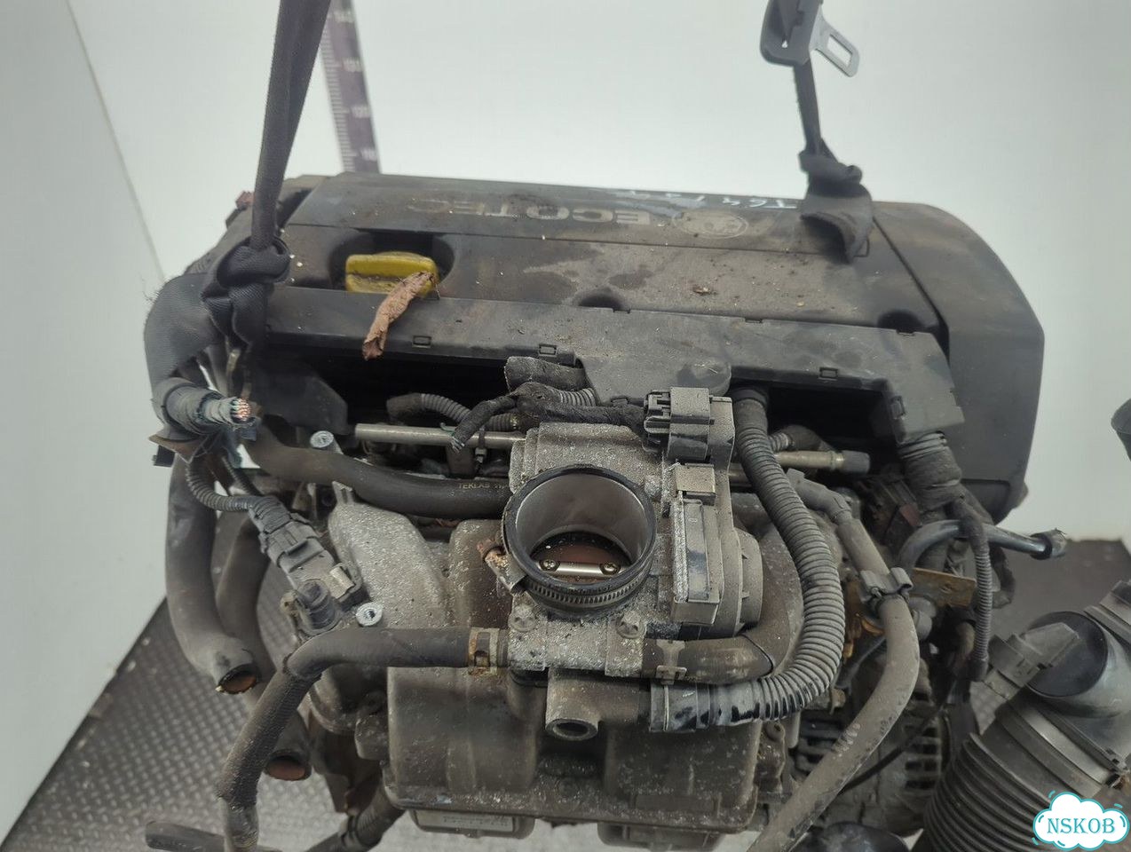 Двигатель Opel Zafira B Z16XEP фото 9