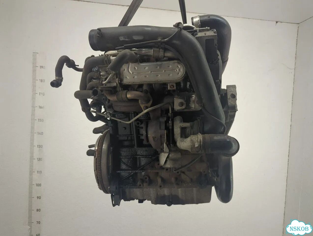 Двигатель Volkswagen Golf Plus BKC фото 3