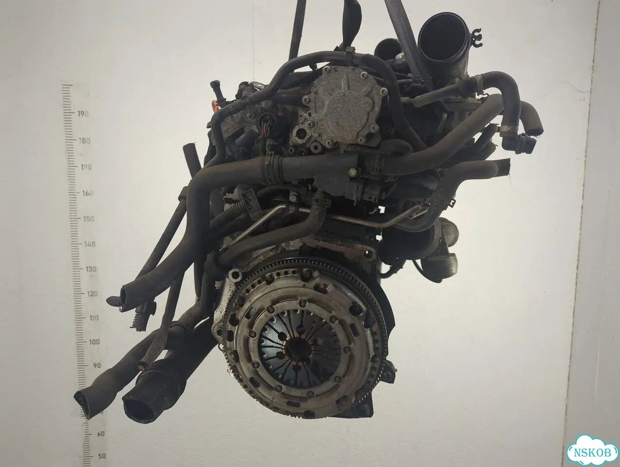 Двигатель Volkswagen Golf Plus BKC фото 4