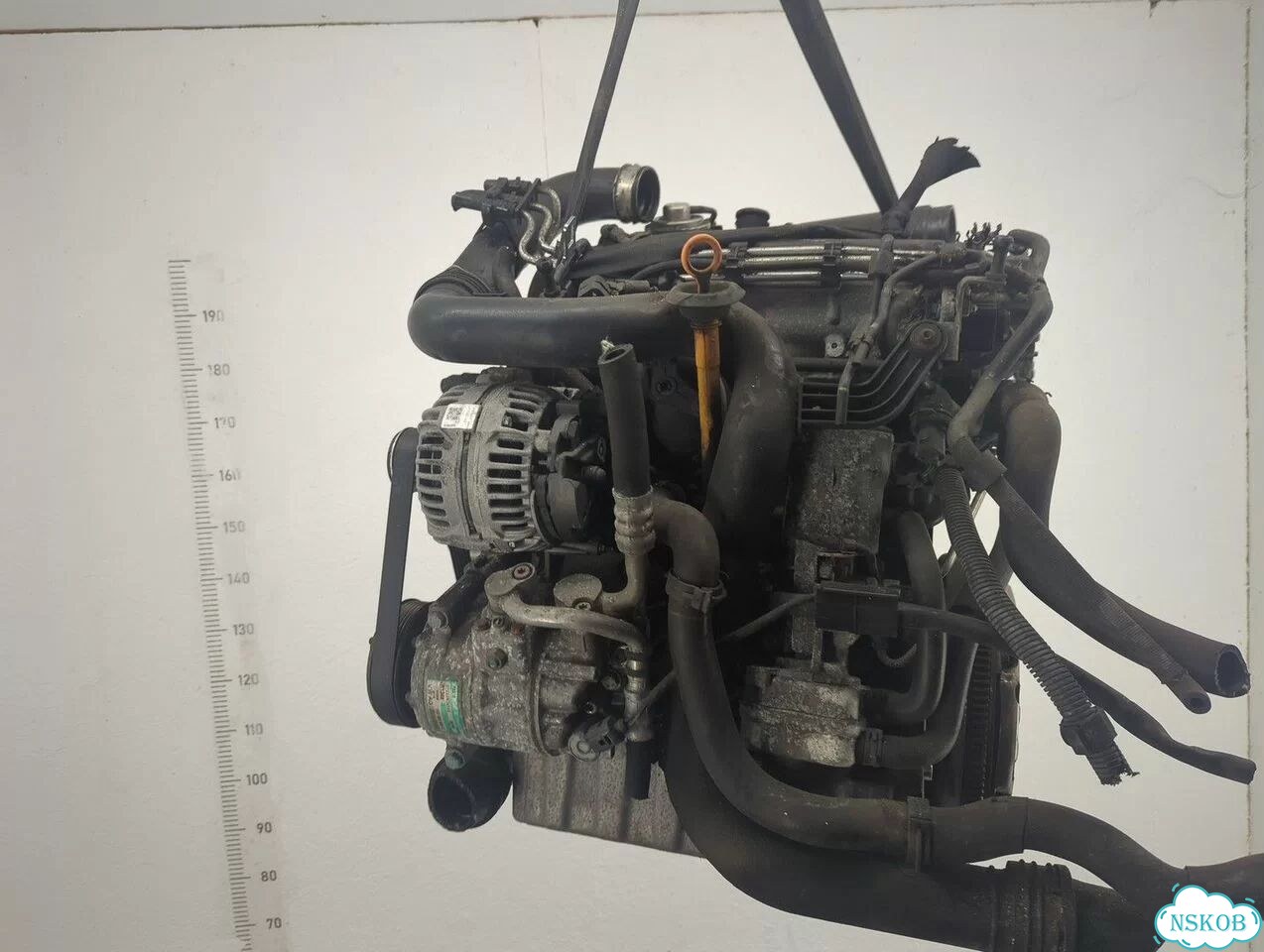 Двигатель Volkswagen Golf Plus BKC фото 5