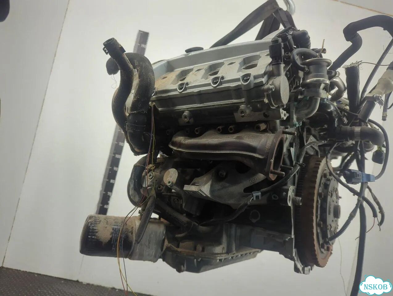 Двигатель Audi A4 (B6) ASN фото 1