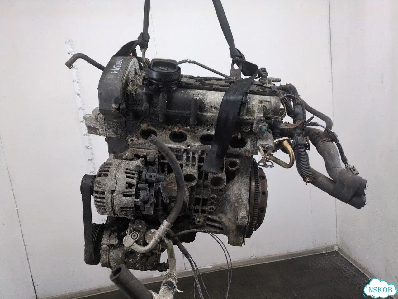 Двигатель Volkswagen Golf 5 BCA фото 7