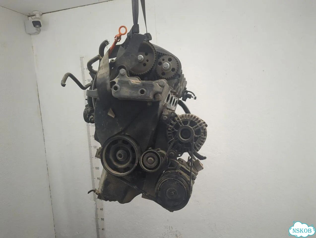 Двигатель Volkswagen Golf 5 BUD фото 1