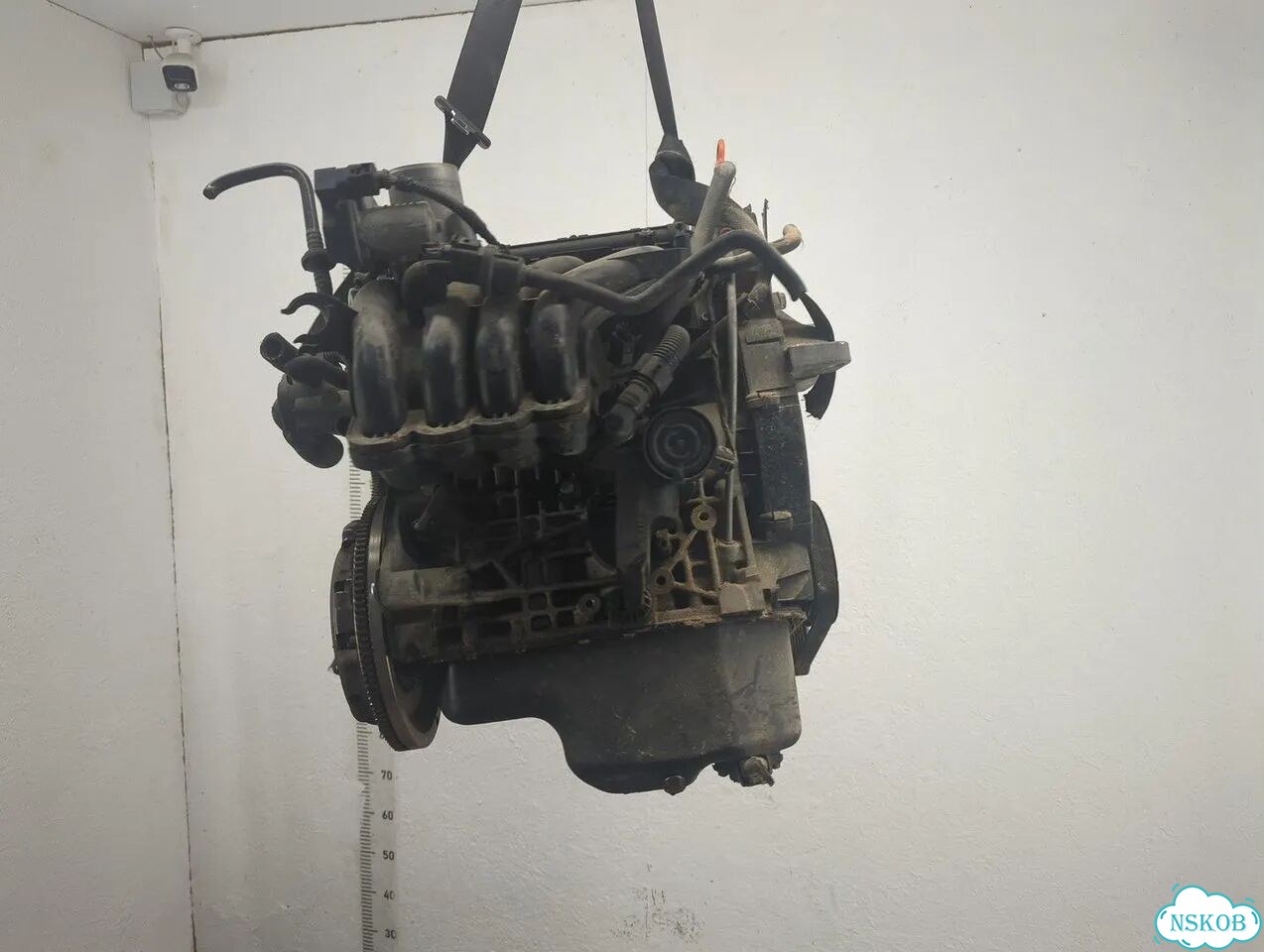 Двигатель Volkswagen Golf 5 BUD фото 3
