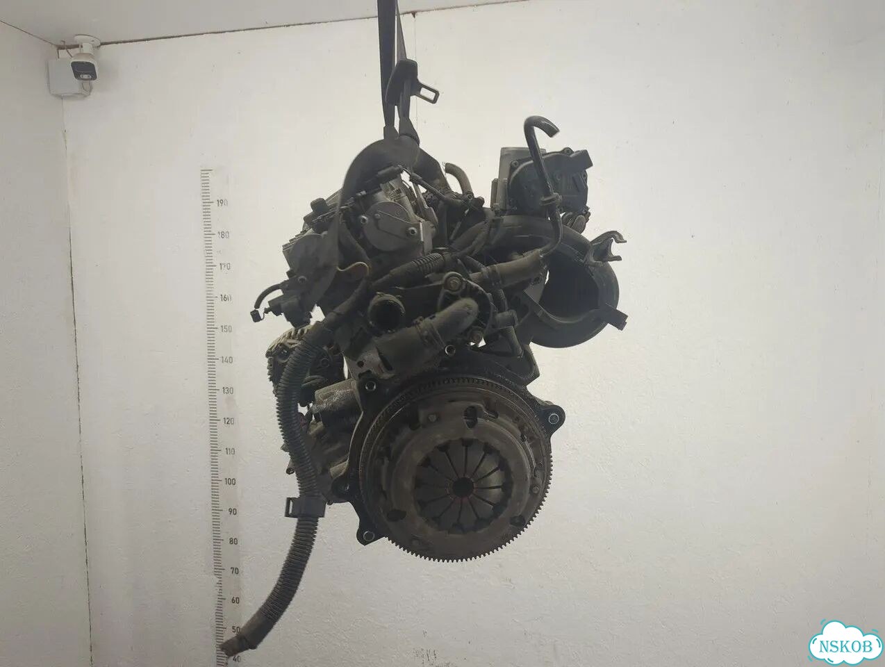 Двигатель Volkswagen Golf 5 BUD фото 4