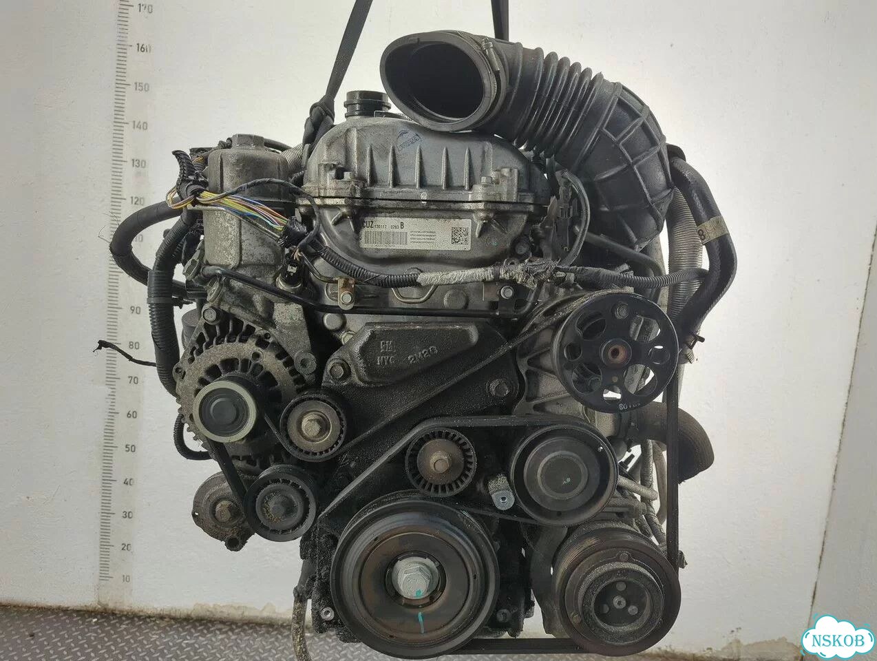Двигатель Opel Antara Z22D1 фото 1