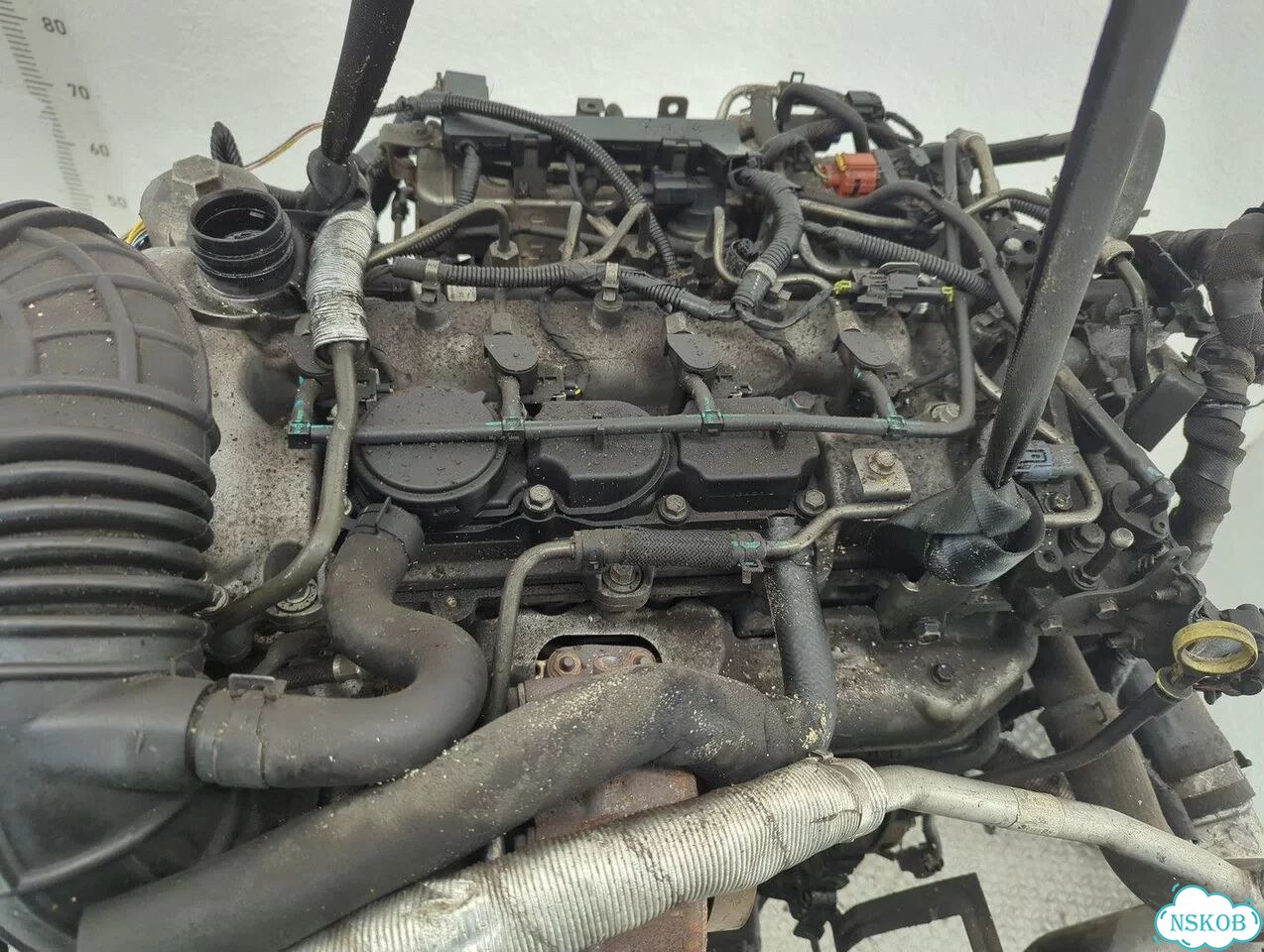 Двигатель Opel Antara Z22D1 фото 6