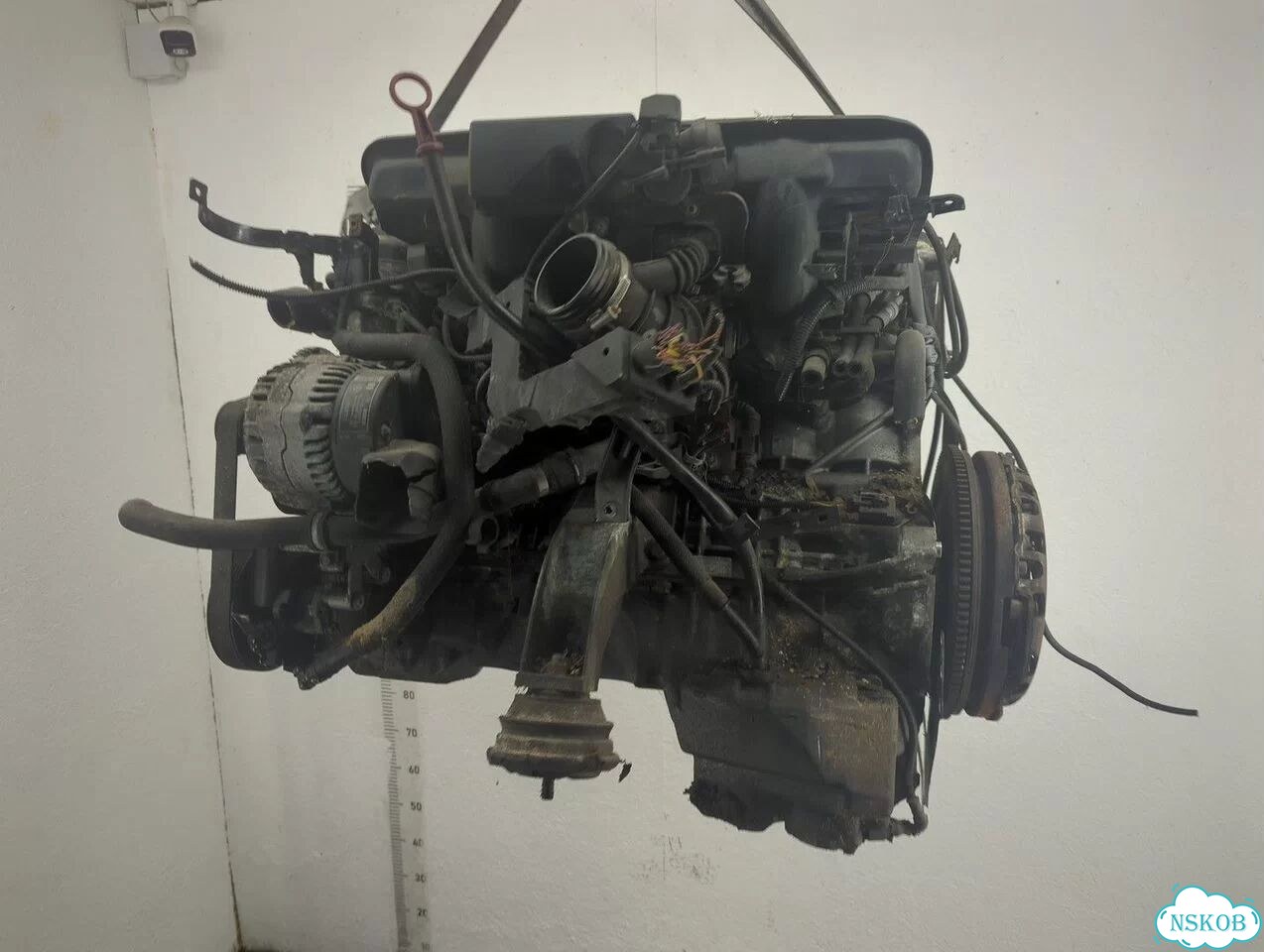 Двигатель BMW 5 E39 256S4 фото 4