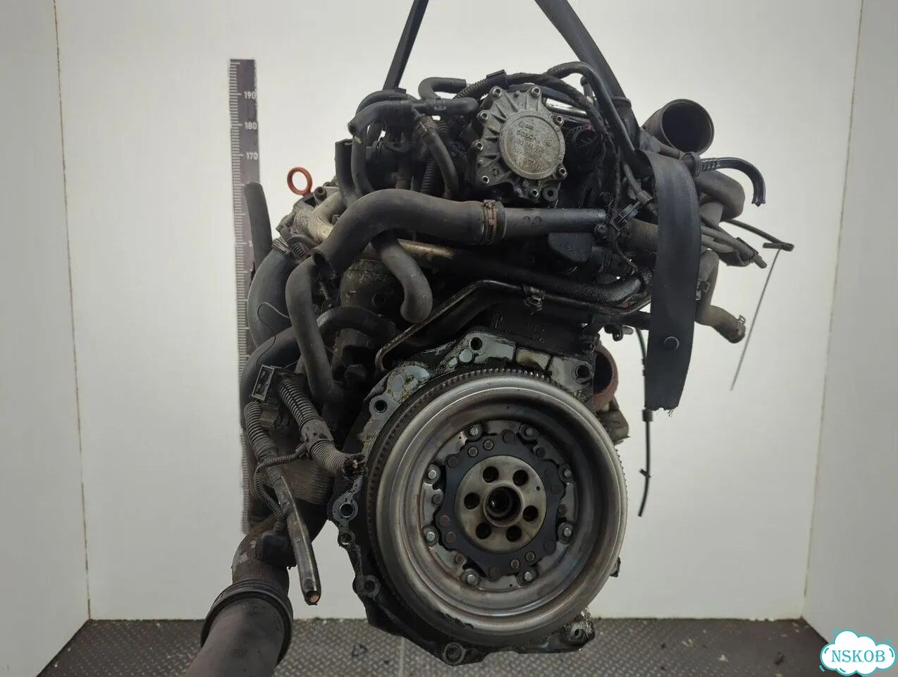 Двигатель Audi A3 (8P) BKD фото 6