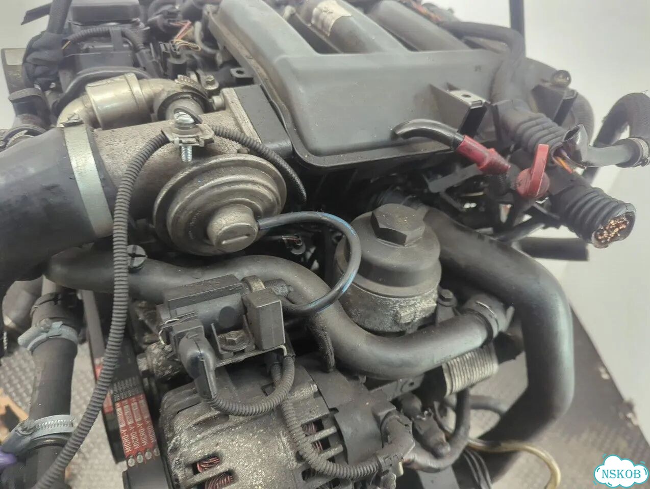 Двигатель BMW 1 E87 204D4 / M47D20 фото 8