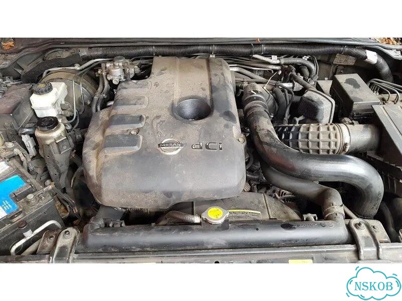 Ремень безопасности передний Nissan Pathfinder R51 фото 10