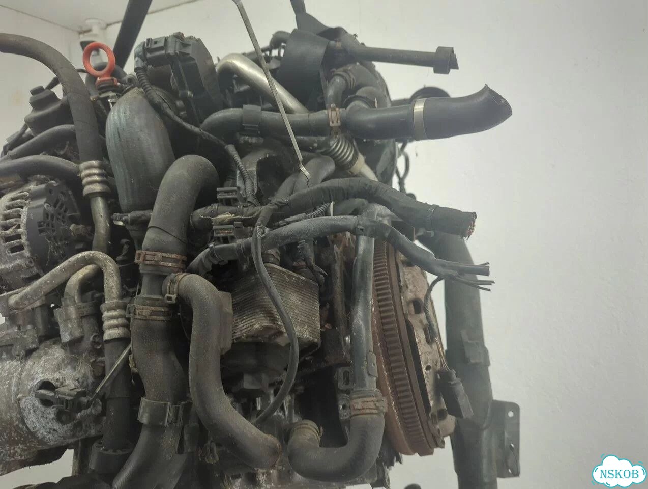 Двигатель Volkswagen Passat 6 cbab фото 8