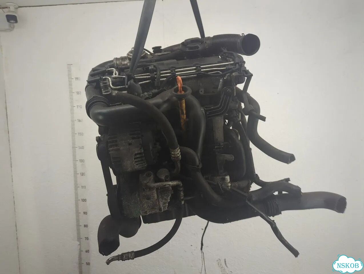 Двигатель Volkswagen Golf 5 BKC фото 3