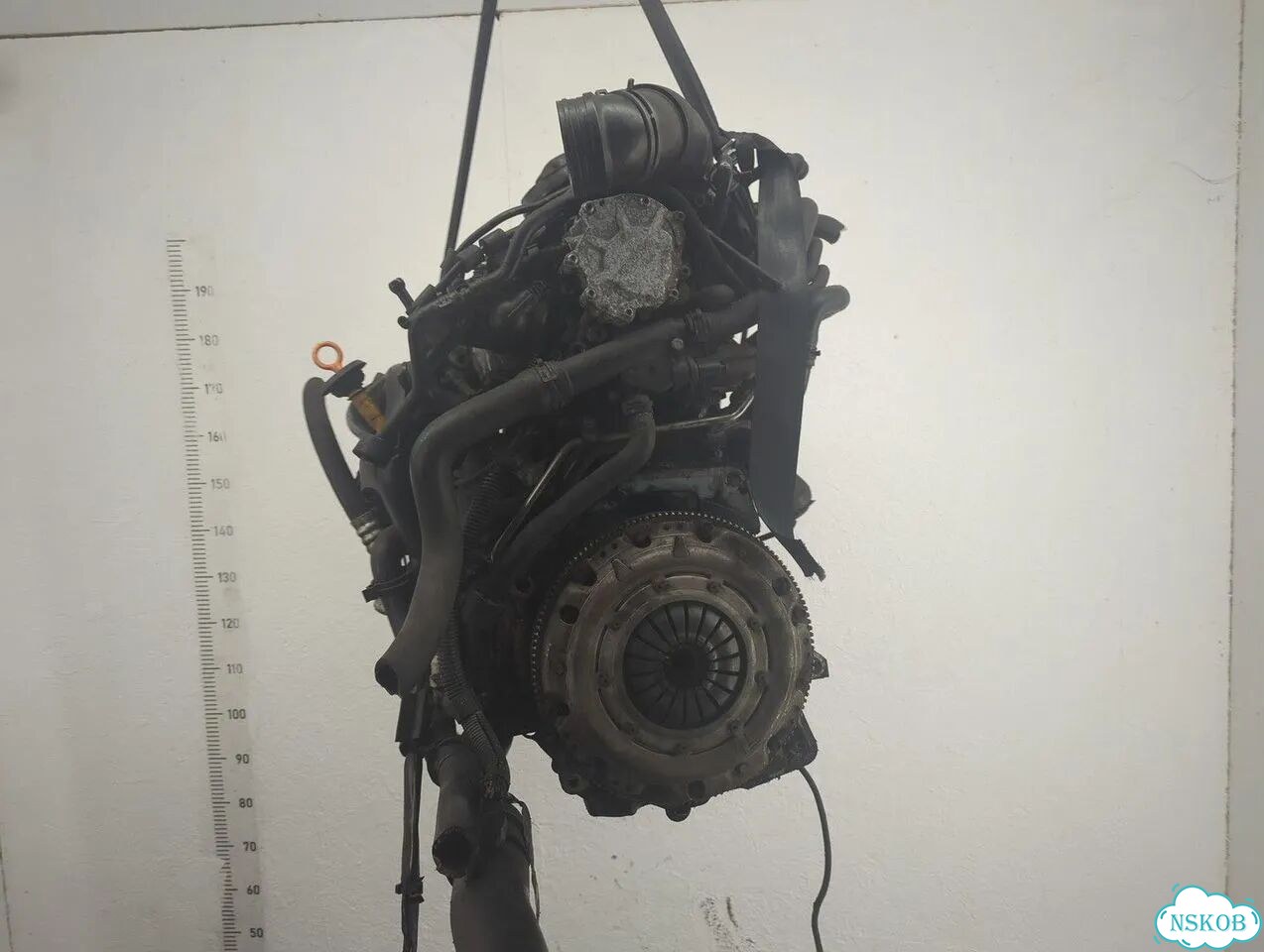 Двигатель Volkswagen Golf 5 BKC фото 4