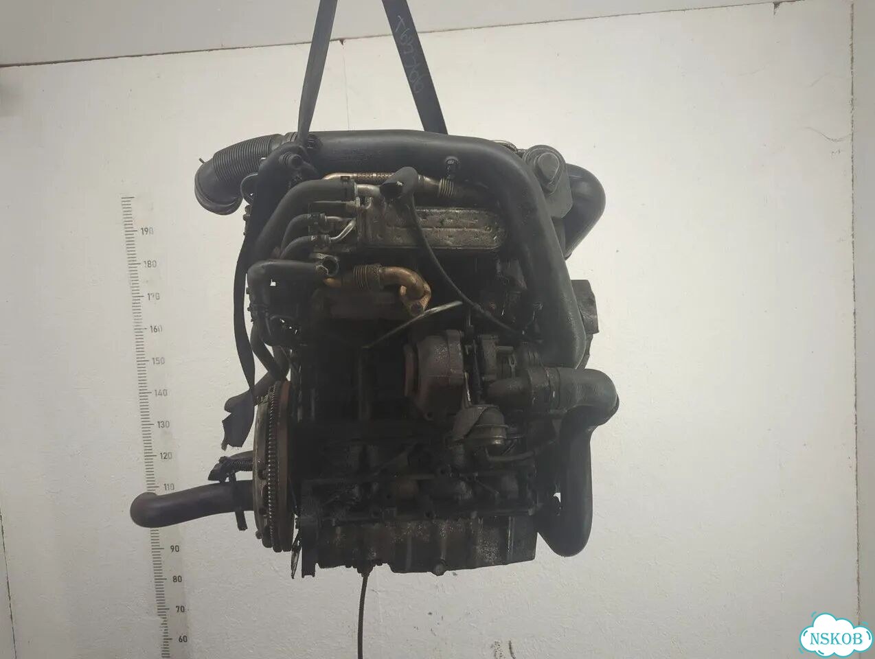 Двигатель Volkswagen Golf 5 BKC фото 5