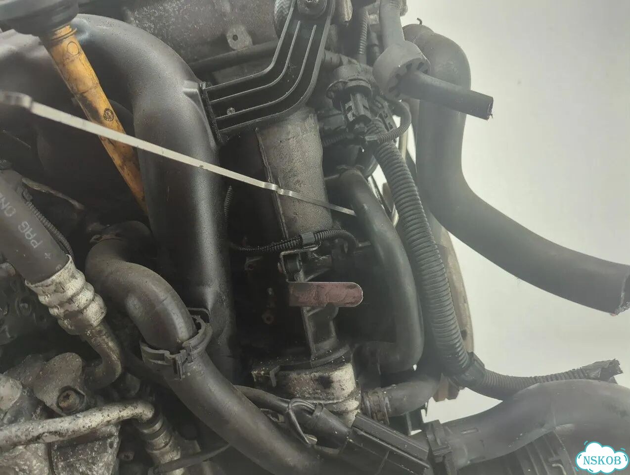 Двигатель Volkswagen Golf 5 BKC фото 8