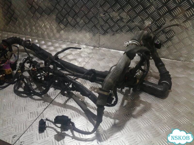 Проводка двс Volkswagen Passat 3B5 BDN 2005 фото 3