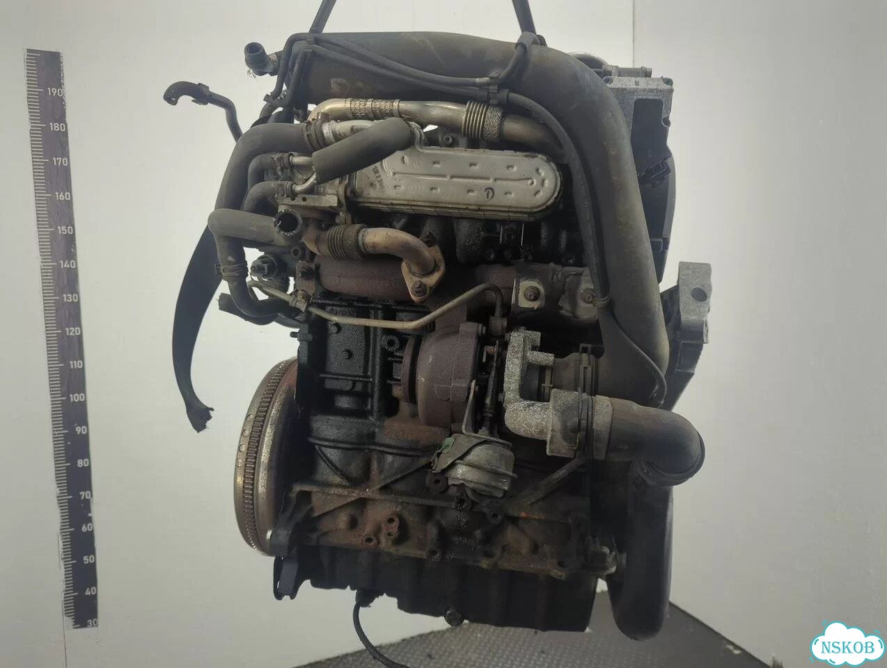 Двигатель Volkswagen Golf 5 BXE фото 4
