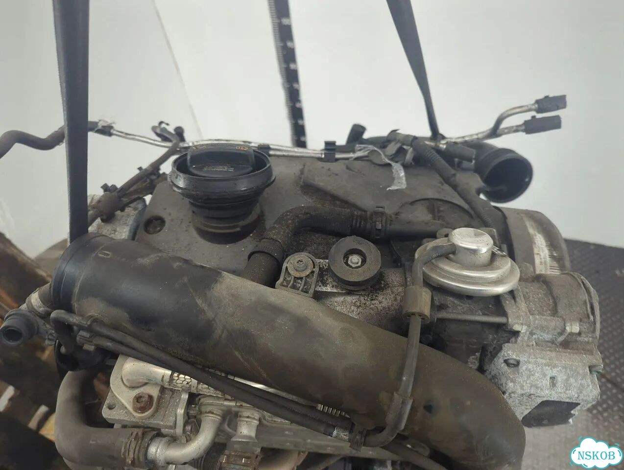 Двигатель Volkswagen Golf 5 BXE фото 7