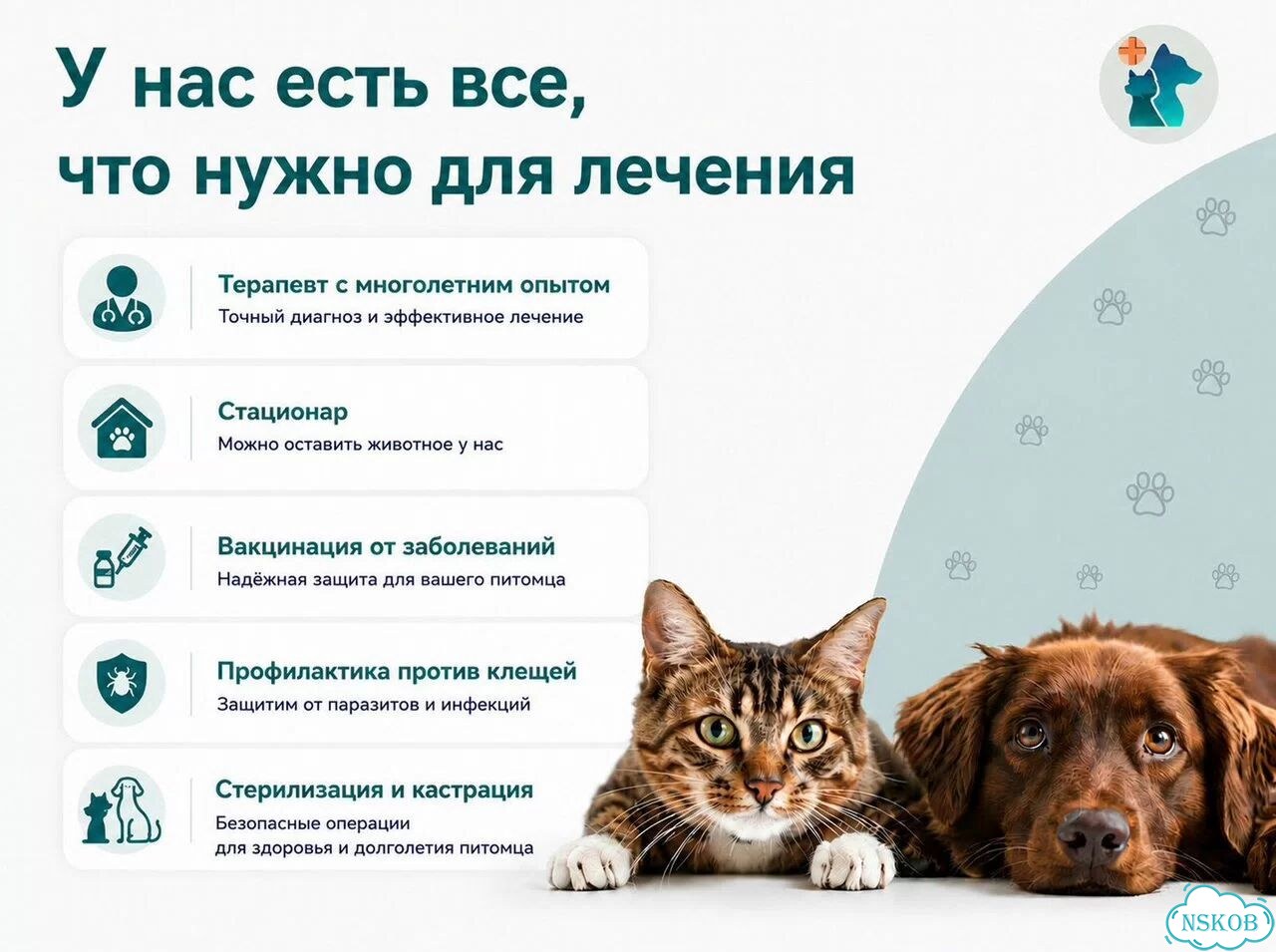 Ветеринар в клининке ветеринарный врач фото 2